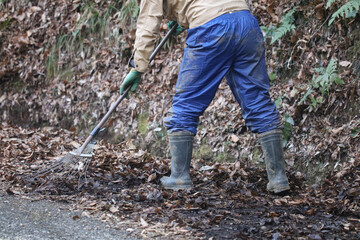 	落葉を拾い集める男性