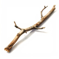 Obraz premium Single broken twig, naturally aged, lies on white surface, casting shadow, ready for examination