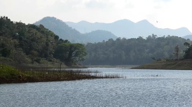 The serene and beautiful landscape with the Periyar River at Ayyappankovil in Idukki, Kerala, India