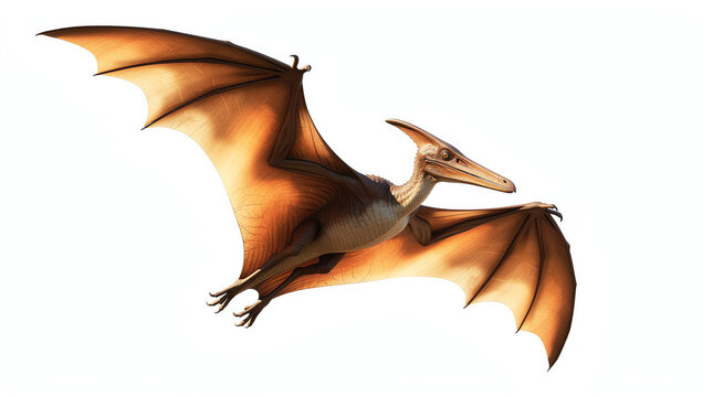 A detailed digital rendering of a pterosaur with outstretched wings, showcasing its leathery texture and elongated head, flying against a white background