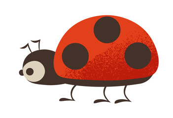 てんとう虫 © risusha