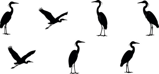Seven black silhouettes of herons in various poses on a white background
