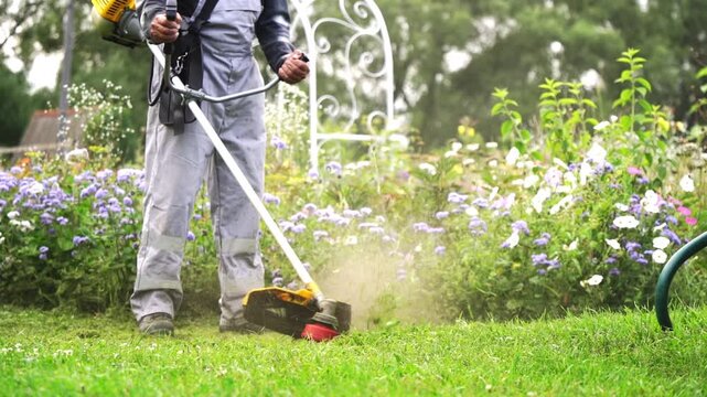 Gardener with grass trimmer mowing grass in garden plot