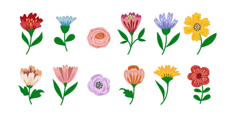 flower vector set, floral elements for design ,  illustrations on White Background

