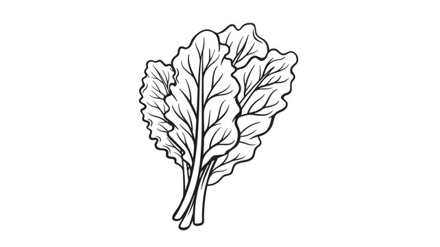 Collard greens bunch with detailed leaves and stems, rendered as a simple black and white line art illustration on a white background.