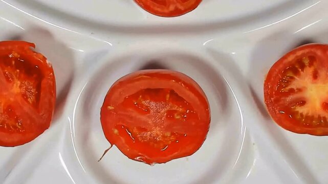 Rotting and moldy tomato slice. Timelapse