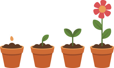 Fototapeta premium Flower growth stages in pot vector illustration showing seed germination to blooming plant, gardening botanical lifecycle isolated on light background