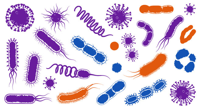 Various colorful bacteria and microorganisms illustration.