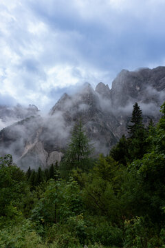 Trees and mountains in the clouds 