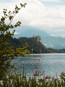 Lake bled view 