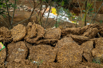 Heap of cow dung cakes in rural North India, traditionally used as biofuel for cooking and heating, representing sustainable energy practices