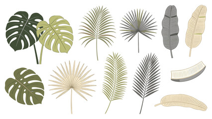 Tropical Leaves Botanical Set Arranged Grid Pattern Diverse Foliage Nature Study Collection © Ube