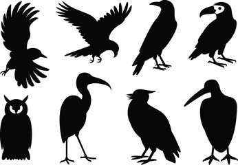 Set of bird silhouettes including crow, owl, toucan, heron and flying birds in different poses, wildlife vector collection isolated on white background