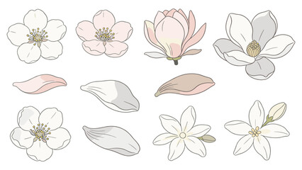 White, Pink, Brown Petals & Flowers in Three Rows