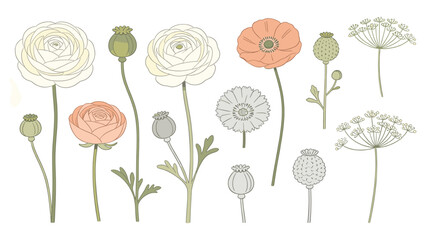 White, Pink, Green Gradients with Varied Stem Lengths on a Clean Canvas © Ube