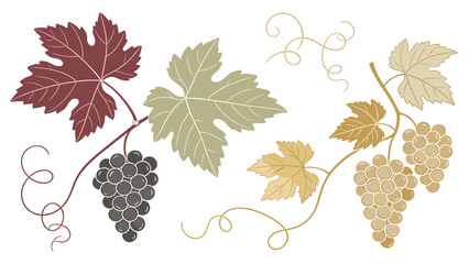 Naklejka premium Set element botanical grapevine illustration showcasing autumnal abundance with four grapebunches and leaves in vibrant hues