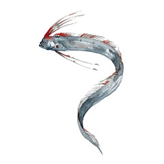Fototapeta premium Mysterious watercolor style deep sea fish illustration, fantasy abyssal creature／深海魚