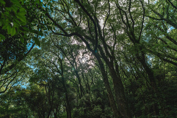 愛媛県松山市北条鹿島の風景