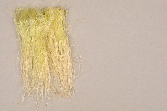 A horizontal close-up shows a bundle of pale yellow corn silk fibers positioned on the left side of a rough, light gray cardboard background with copy space
