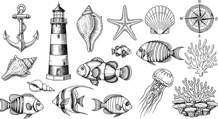 Marine Nautical Elements Set Anchor Lighthouse Fish Shell Starfish Compass Coral Vector Illustration © Nurjjaman
