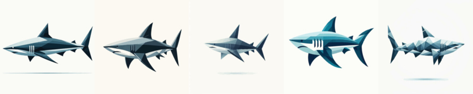 Vector of a Shark