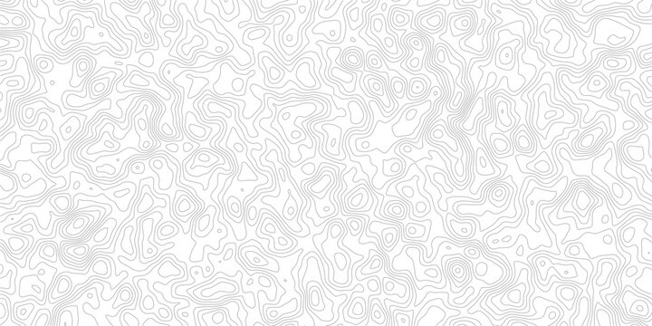 Gray topographic map lines on white background for design and texture