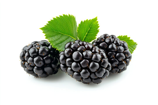 Three fresh ripe blackberries with green leaves isolated on white background