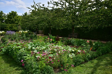 Obraz premium Chateau park Milotice in french style is a national cultural monument in baroque style