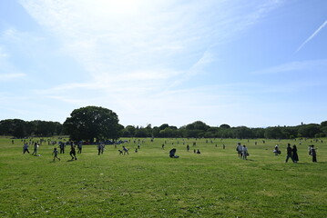 青空の下でにぎわう昭和記念公園・みんなの原っぱの風景
Lively day at the spacious lawn field in Showa Kinen Park under a bright blue sky