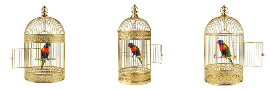 Set of Rainbow Lorikeet Parrots in Golden Ornate Birdcages with Open Door Isolated on White Background
