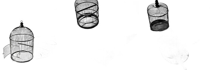Set of Falling Empty Metal Birdcages with Open Doors Isolated on White Background