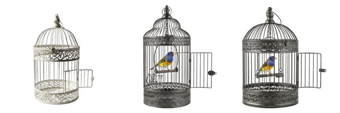 Set of Small Colorful Songbirds in Vintage Ornate Metal Cages with Open Door Isolated on White Background