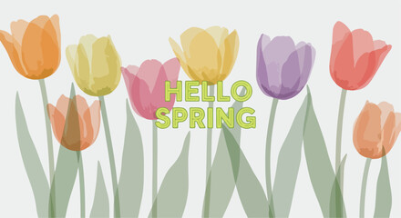 Vibrant watercolor style "Hello Spring" banner with a row of colorful tulip flowers in orange, yellow, pink, purple, and red, perfect for seasonal greetings and nature-themed designs. © 爱心