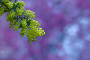 人の心を温かくする存在感