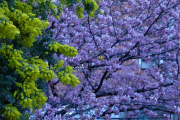 人の心を温かくする存在感