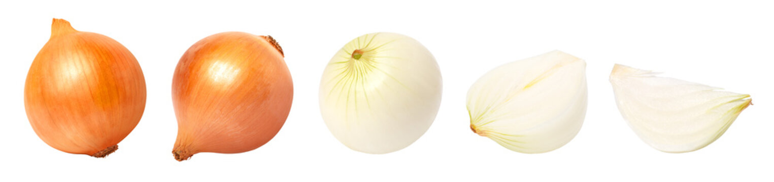 onion isolated on transparent background	