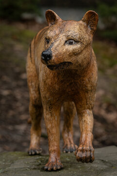Figurine of the extinct thylacine (Tasmanian tiger) displayed outdoors.