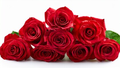 Obraz premium Five Red Roses Isolated On White Background