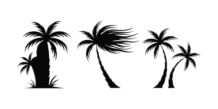 Windblown Palm Trees Silhouette Vector Set