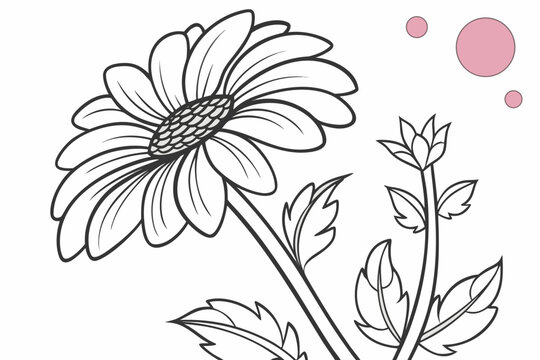 coloring page line art the tithonia flower black vector