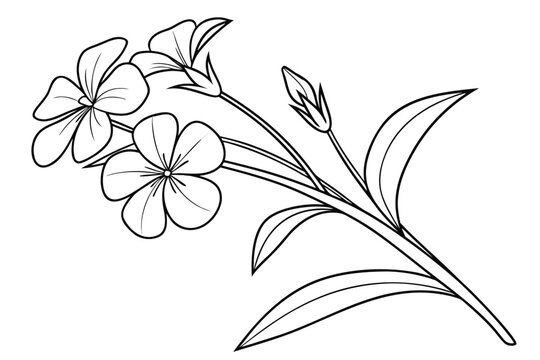 coloring page line art the periwinkle flower black vector