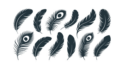 Obraz premium Collection of Black Feathers Isolated on White Background.