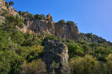 Fototapeta premium paisaje de montaña con rocas y arboles