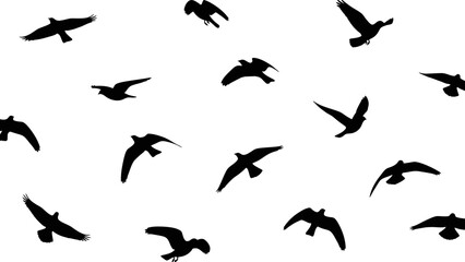 Silhouettes of flying birds against a clear white sky, creating a striking contrast. © art.Co
