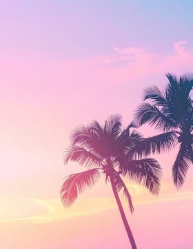 Silhouettes of palm trees against a vibrant pink and blue sunset sky.
