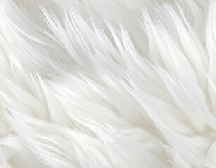 Obraz premium Close-up abstract background of bright white, soft synthetic fur texture.