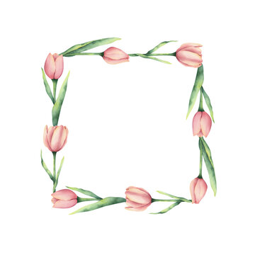 a square frame with a watercolor tulip