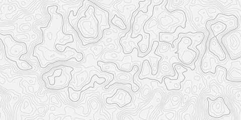 Minimal Abstract Topographic Map with Detailed Contour Lines Seamless Pattern Geographic Terrain Elevation Relief Background with Modern Line Art Vector Style © ALAMA