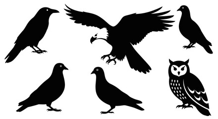 Obraz premium Diverse Bird Silhouettes Collection: Eagle, Owl, Crow, and Pigeons Vector Art