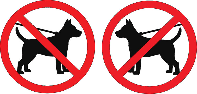 No dogs allowed sign with black dog silhouette on leash inside red prohibition circle symbol isolated on a white background.